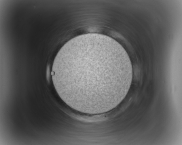 X0000087600028200705251931