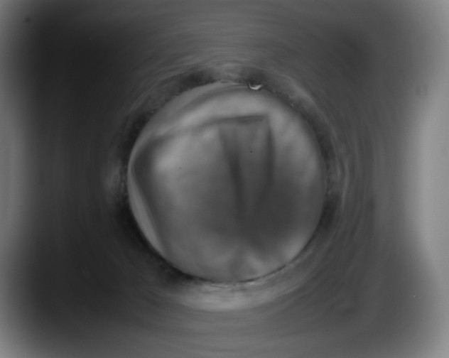 X0000087600029200705251931