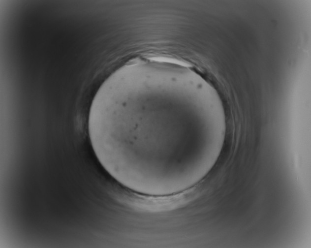 X0000087600031200705251931