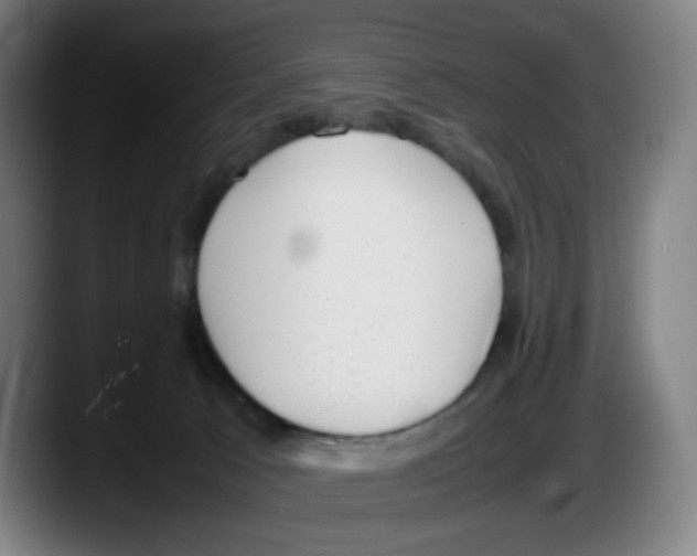 X0000087600033200705251931