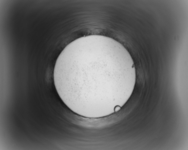 X0000087600034200705251931