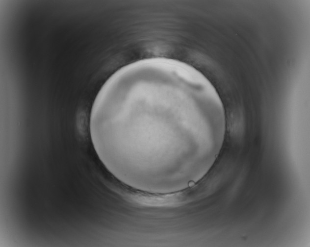 X0000087600036200705251931