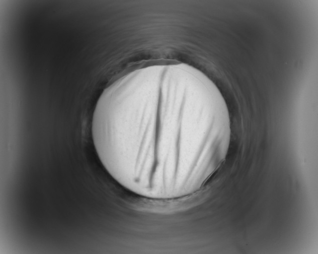 X0000087600037200705251931