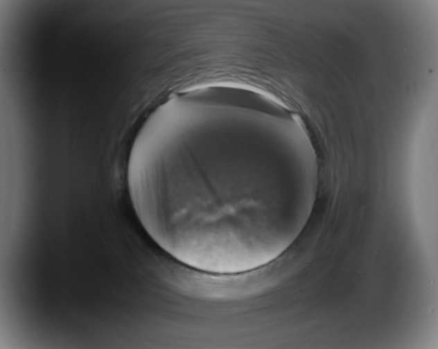 X0000087600039200705251931