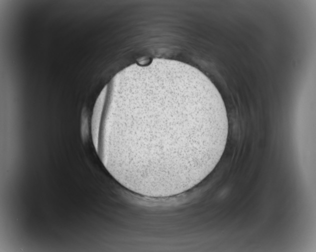 X0000087600042200705251931