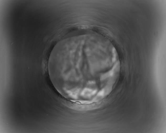 X0000087600043200705251931