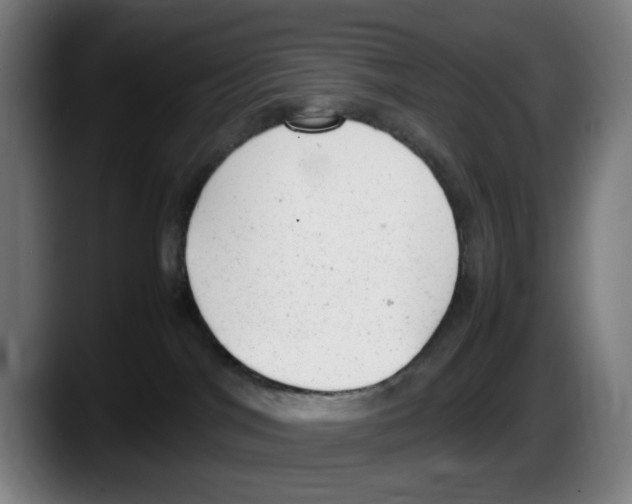 X0000087600044200705251931
