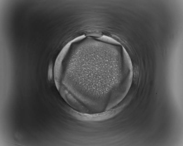 X0000087600046200705251931