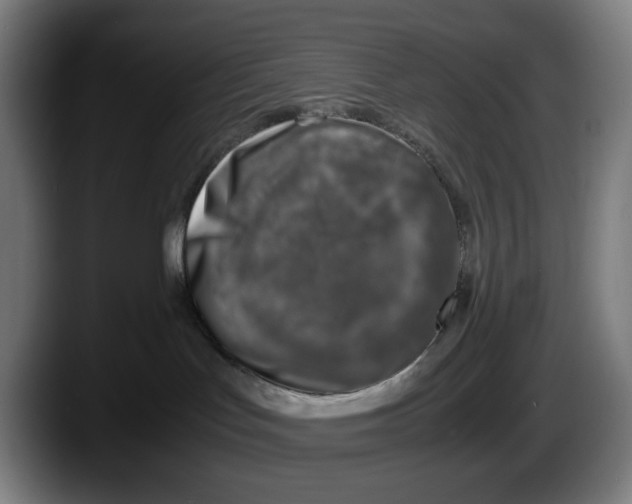 X0000087600047200705251931