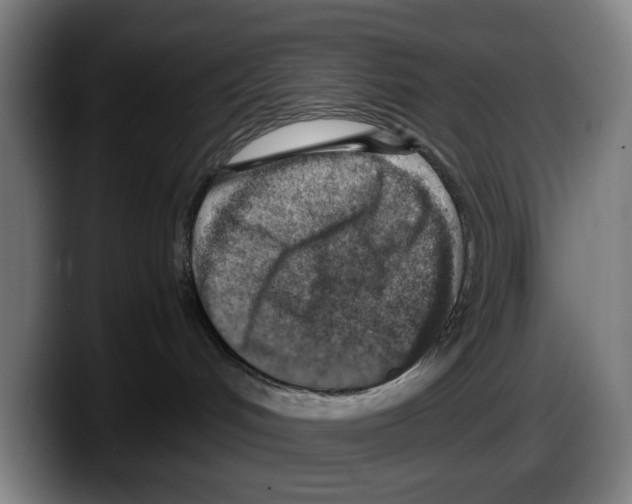 X0000087600048200705251931