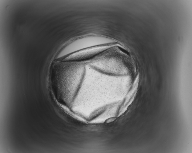 X0000087600050200705251930