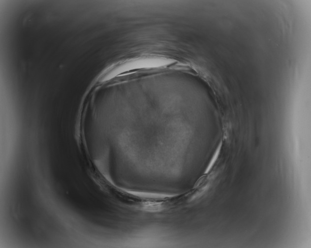 X0000087600052200705251930