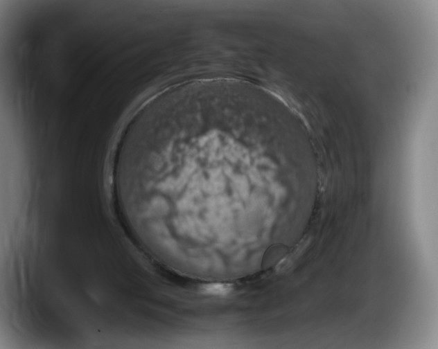 X0000087600053200705251930