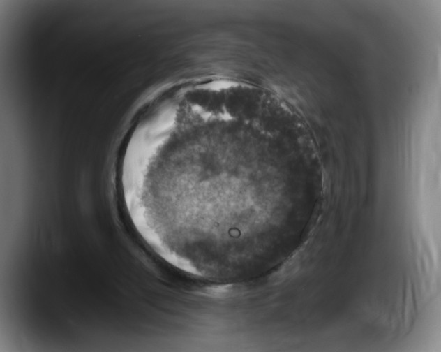X0000087600054200705251930