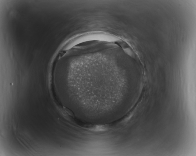 X0000087600056200705251930