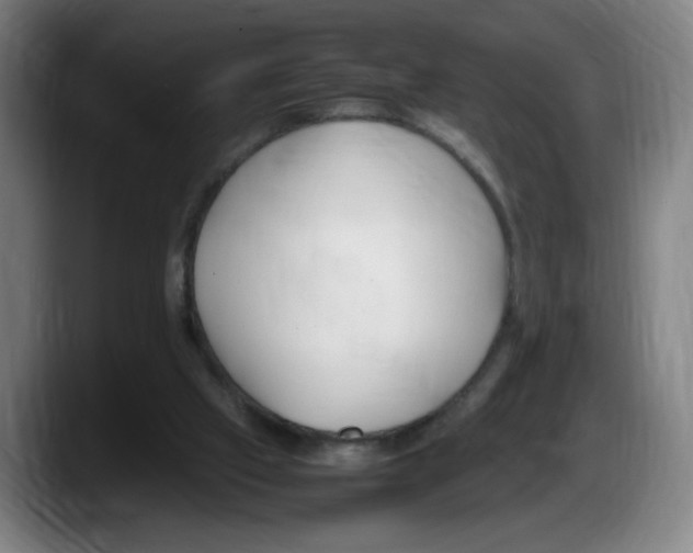 X0000087600057200705251930