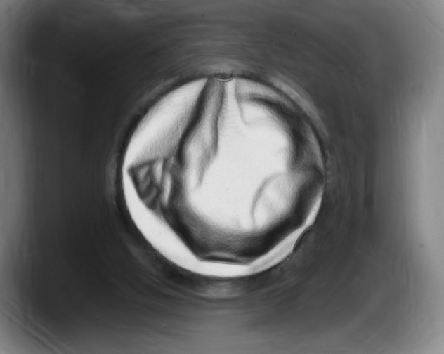 X0000087600058200705251930