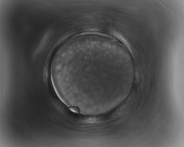X0000087600059200705251930