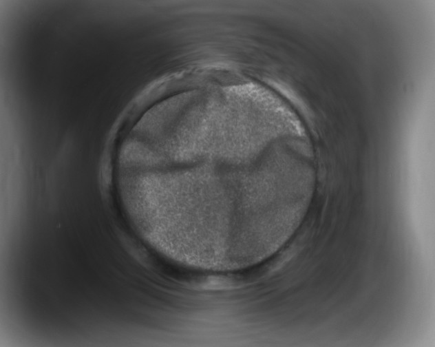 X0000087600060200705251930