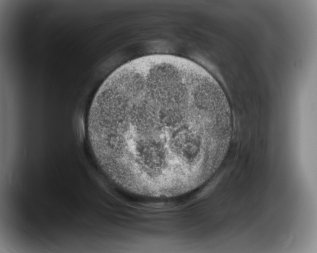 X0000087600061200705251930