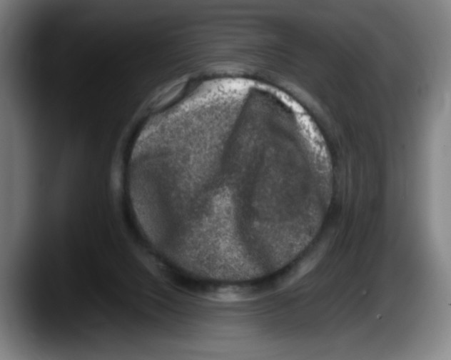 X0000087600064200705251930