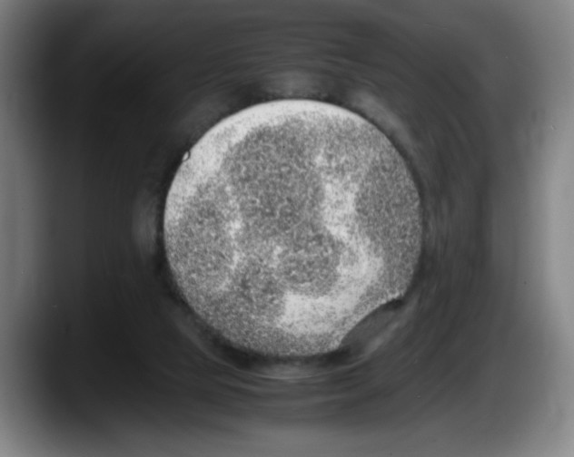 X0000087600065200705251930