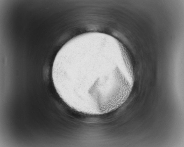 X0000087600066200705251930