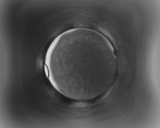 X0000087600067200705251930
