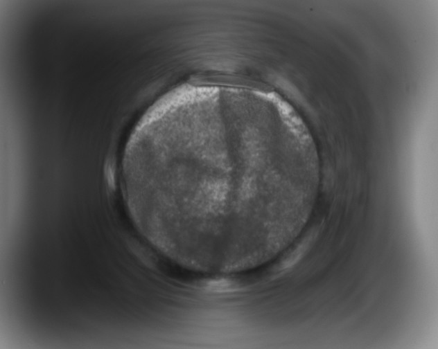 X0000087600068200705251930