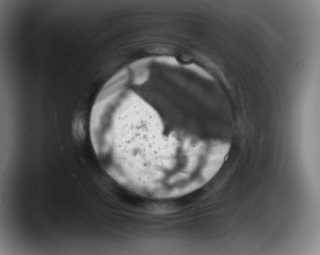 X0000087600069200705251930