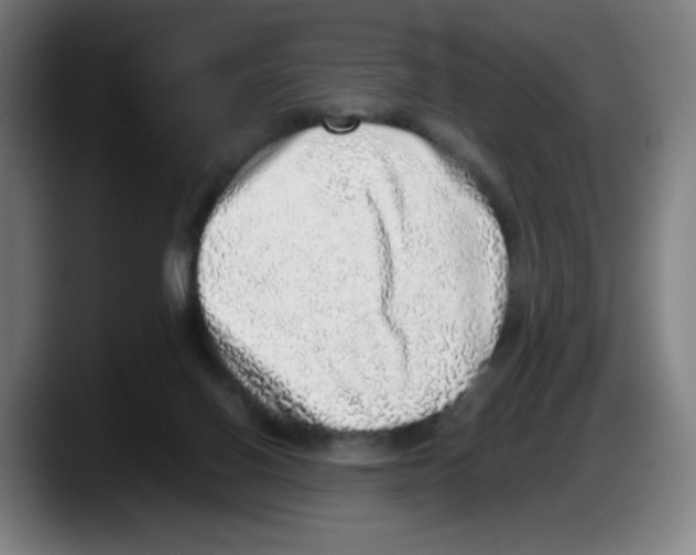 X0000087600070200705251930