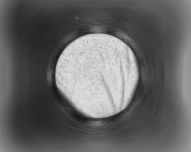 X0000087600071200705251930