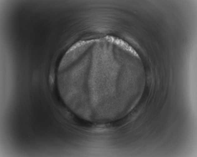 X0000087600072200705251930