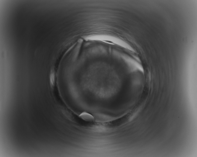 X0000087600076200705251930