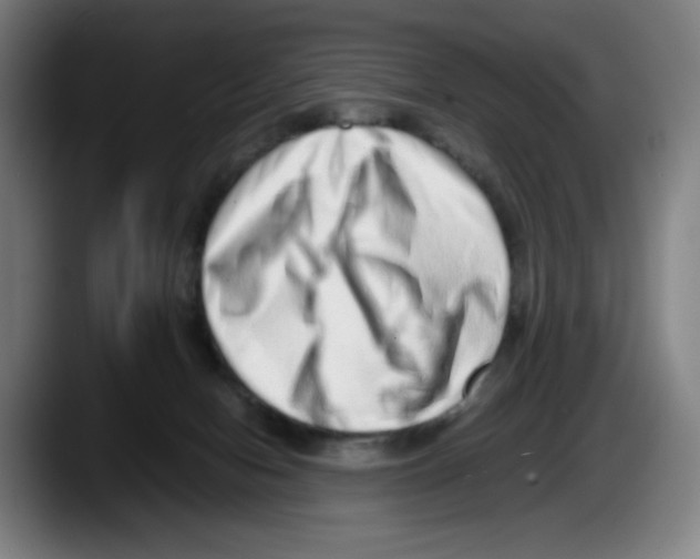 X0000087600078200705251930