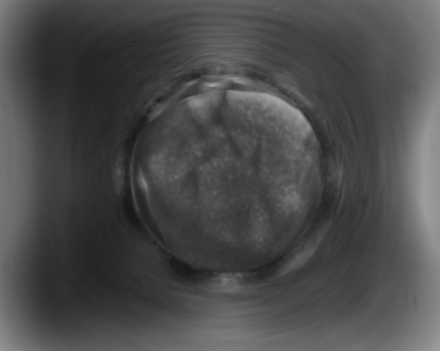 X0000087600080200705251931