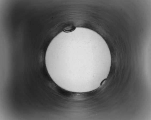 X0000087600082200705251931
