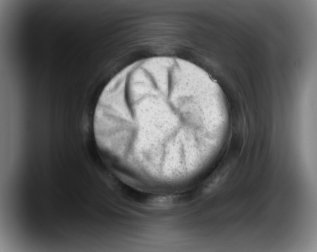 X0000087600084200705251931