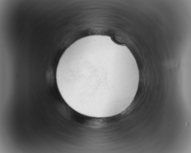 X0000087600086200705251931