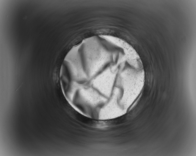 X0000087600091200705251931