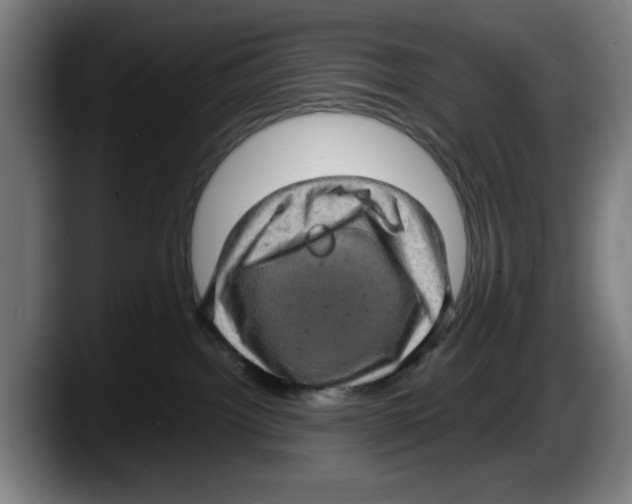 X0000087600092200705251931