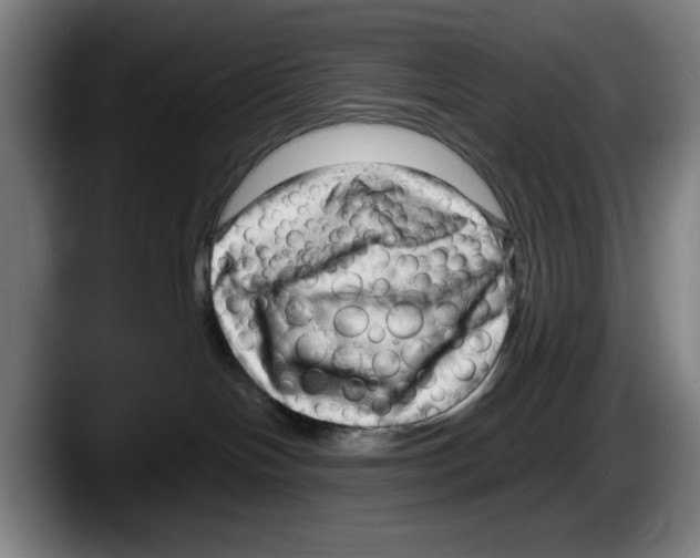 X0000087600094200705251931