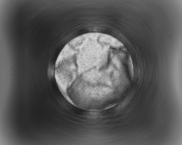 X0000087600095200705251931