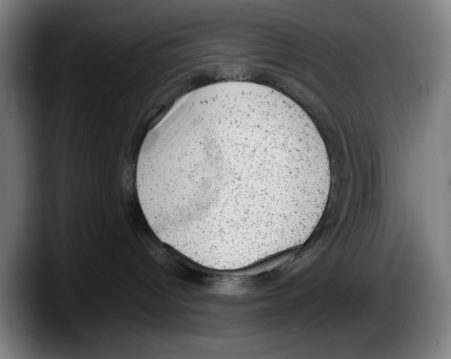 X0000087600096200705251931