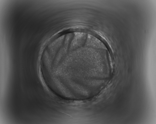 X0000087600097200705251930