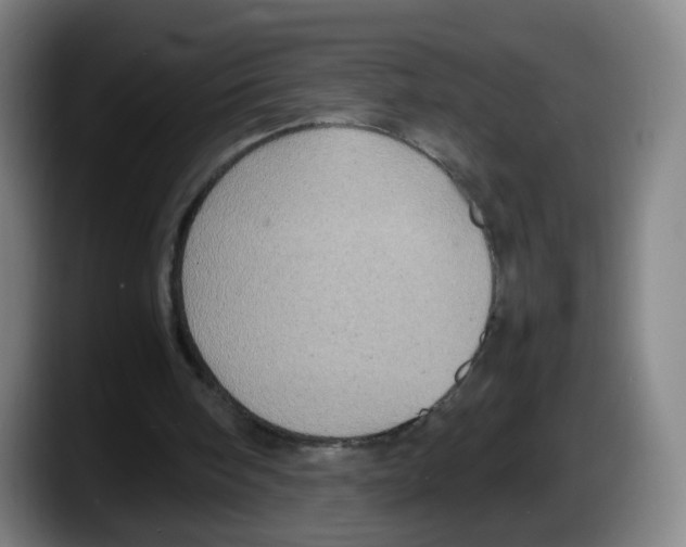 X0000087600098200705251930