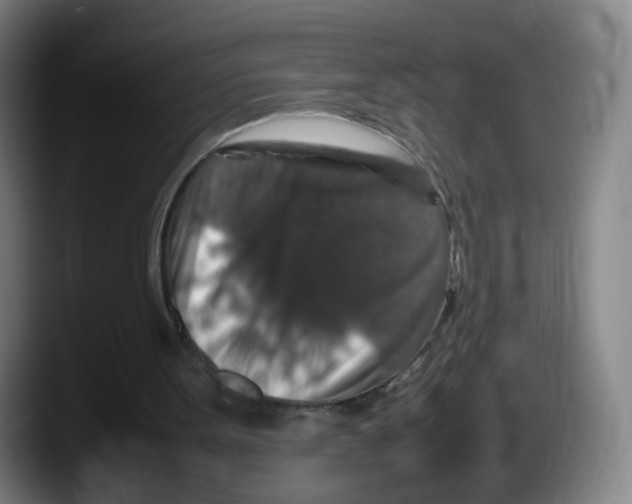 X0000087600099200705251930