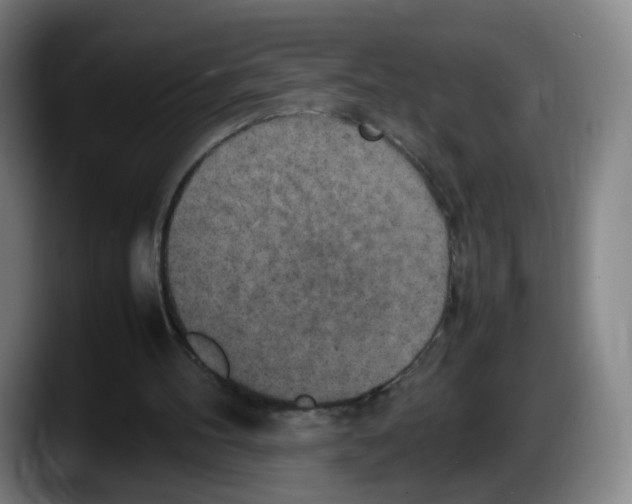 X0000087600100200705251930