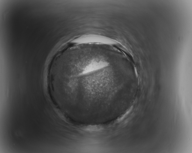 X0000087600101200705251930