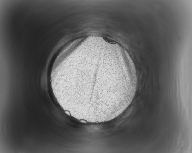 X0000087600102200705251930